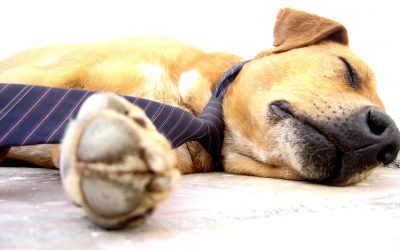 How to prevent a burnout in your IT employees