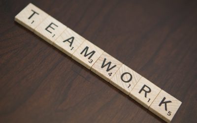 Some of the essential skills you need to succeed no matter your career path
