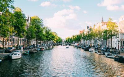 Microsoft Certified Trainer in the Netherlands
