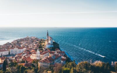 Microsoft Certified Trainer in Slovenia